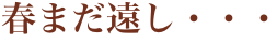 春まだ遠し・・・